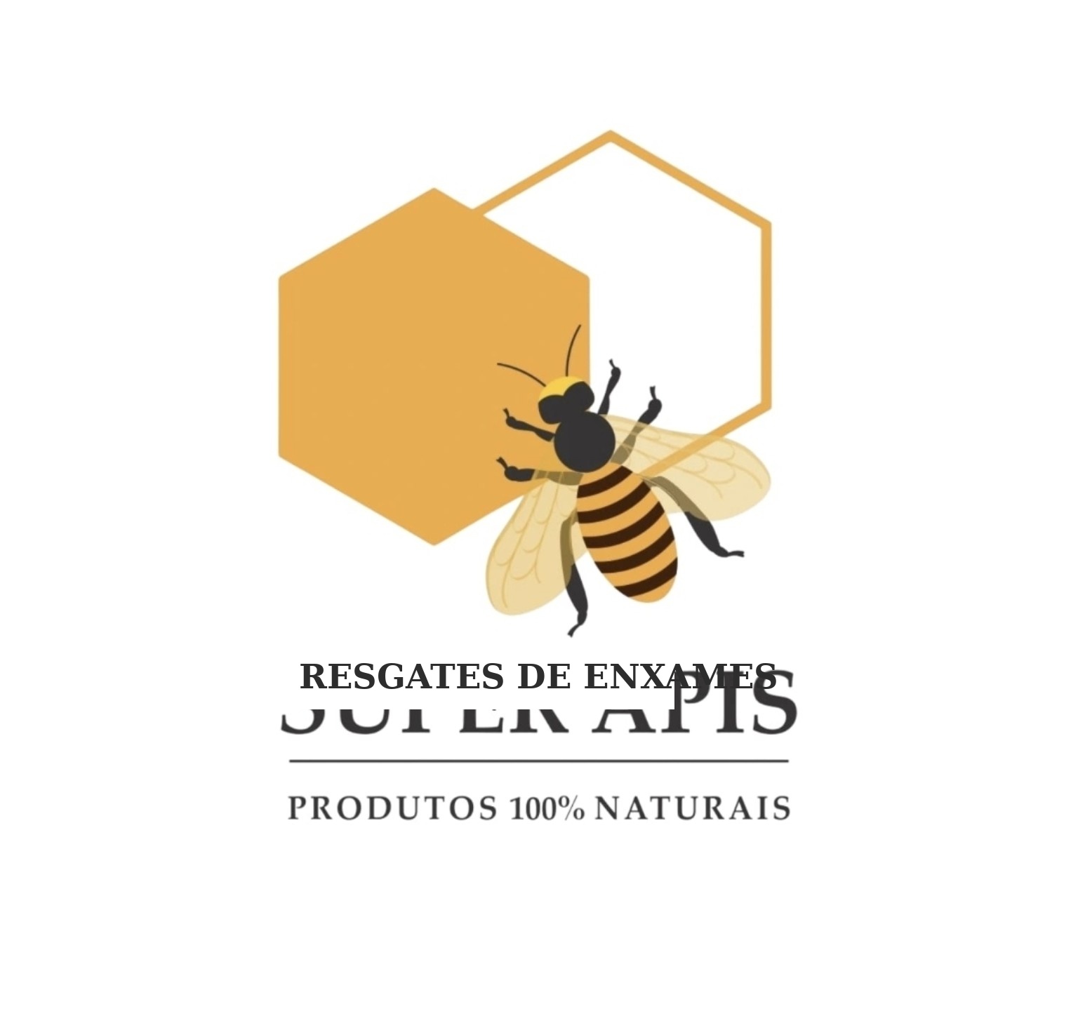 Super Apis - Remoção de Enxames